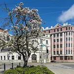 Comfortable Studio In Historic Center