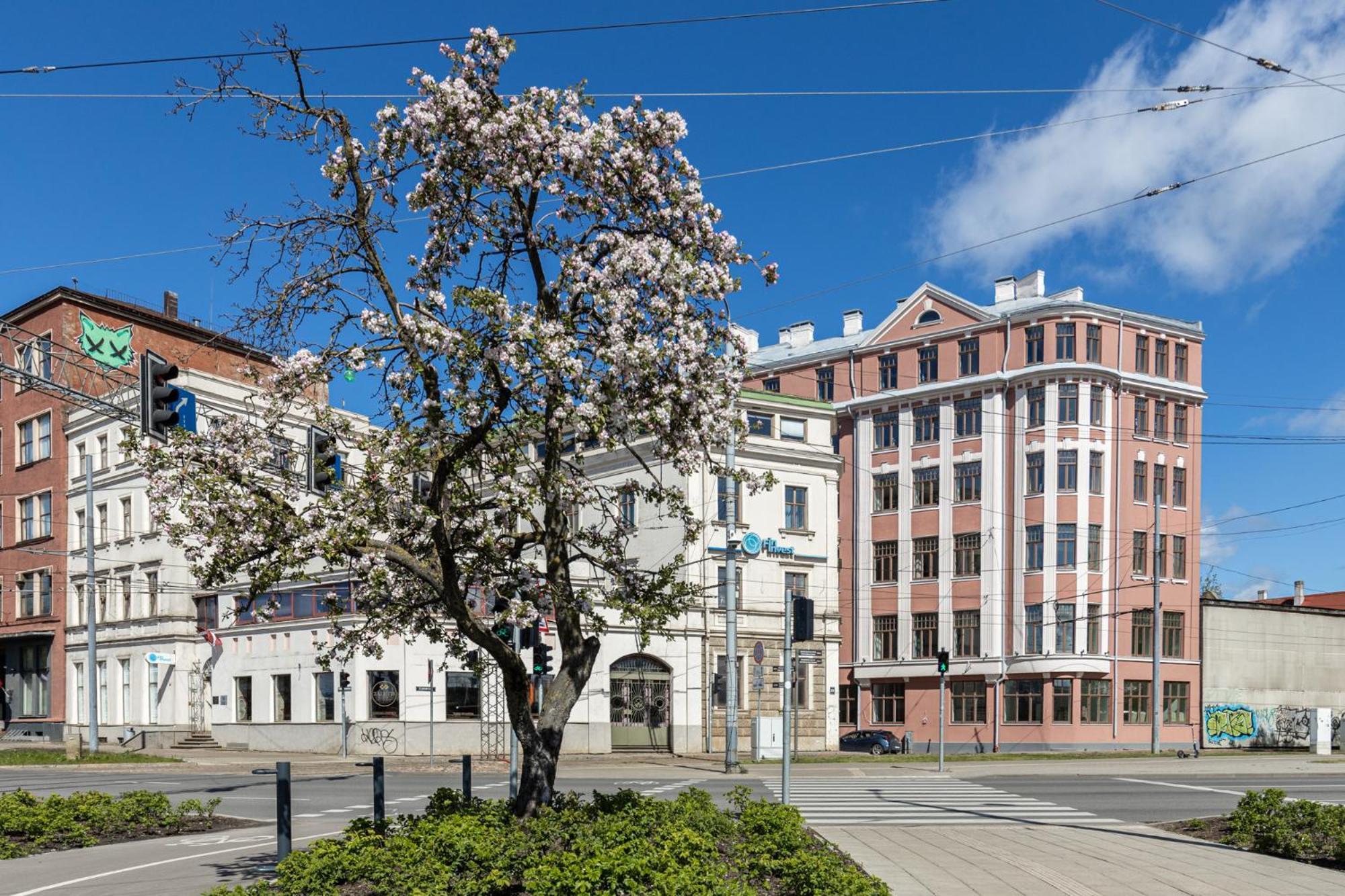 Huoneisto Comfortable In Historic Center